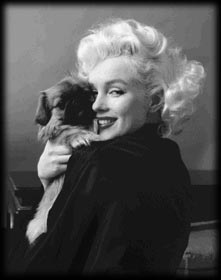 Marilyn posing with a dog